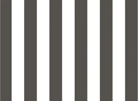 Parato Cristiana Masi Top Stripes Riga 2 fehér-fekete csíkos vlies tapéta – 38449