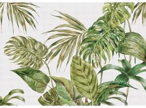 Fern XXL fotó tapéta 360 x 254 cm, 4 részből áll