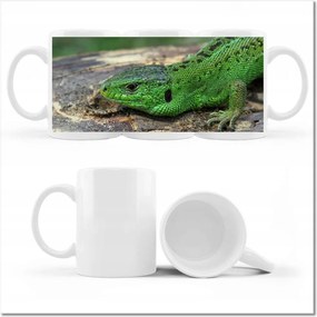 Zöld gyík fényképes bögre