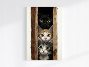 Vászonkép Canvas Állatok Három Macska Kollégák Kíváncsiság Játék 80x120