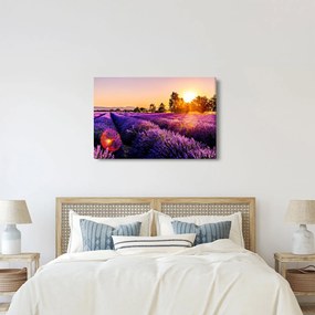 A levendula mező képe, Provence (90x60 cm)