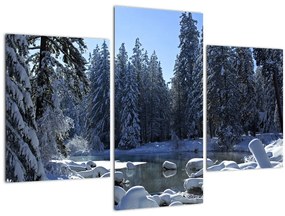 Havas erdő képe (90x60 cm)