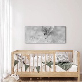 Kép - Bagoly, fekete-fehér (120x50 cm)