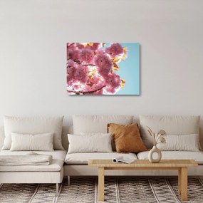 Üveg kép - Cseresznyevirág (70x50 cm)