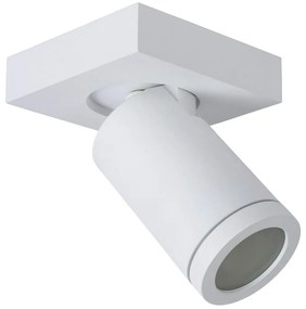 Lucide 09930/05/31 - LED Dimmelhető spotlámpa TAYLOR 1xGU10/5W/230V IP44