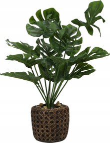 Műmonstera Zöld Cserépben Cserepes Virágok Zöld 37 CM