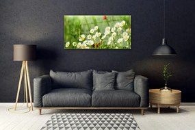 Akrilüveg fotó Daisy növény természet 120x60 cm