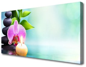 Vászonkép falra Orchid Víz Természet 100x50 cm