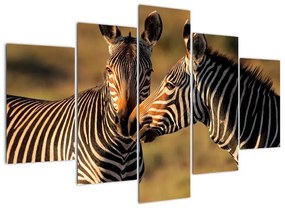 Kép - zebra (150x105cm)