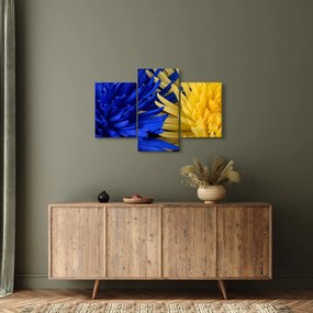 Kép - virág részlet (90x60 cm)
