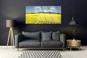 Akrilkép Mező Mező Természet repce 120x60 cm