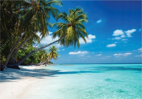 Fotótapéta Tengerpart Pálmafák Tenger Tájkép Falra Hálószoba Nappali 150x105