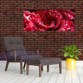 Vörös rózsa virágzata képe (120x50 cm)