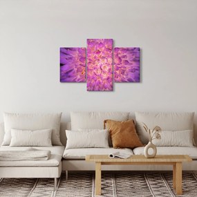 Részletes virágkép (90x60 cm)