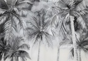 Fotótapéta Pálmafák Fekete-fehér Hálószoba Nappali Tapéta Flizelina 350x250
