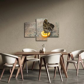 Pillangó képe (90x60 cm)
