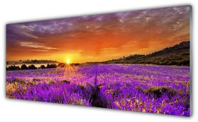 Akrilkép Sunset Lavender Field 120x60 cm