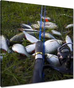 Vászonkép 60x60 Kis halak a fűben