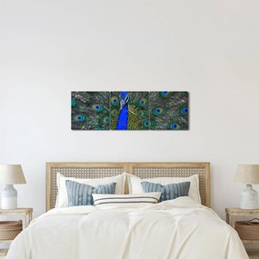 Kép - Páva (órával) (90x30 cm)