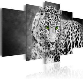 Kép - Leopard - black&amp;white