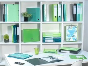 Gumis, mappa, karton, A4, EXACOMPTA Iderama, világos zöld (EX55823E)