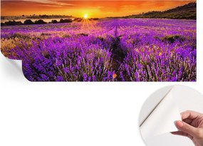 Modern öntapadós fali fotótapéta Levendula nyugat 250x104 cm