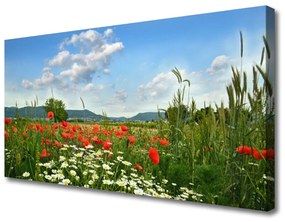 Vászonkép Mezei virágok természet Plant 125x50 cm