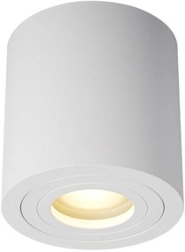 Zuma Line Rondip mennyezeti lámpa 1x50 W fehér ACGU10-158-N