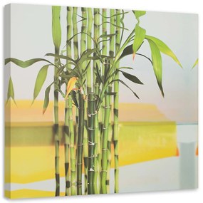 Gario Vászonkép Néhány zöld bambusz Méret: 30 x 30 cm