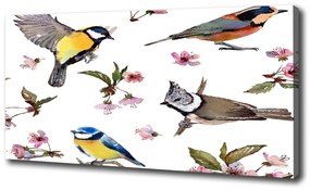Vászonkép Bird cseresznye virágok oc-98117635