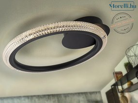Mennyezeti Lámpa Fekete RING SCHULLER 717847