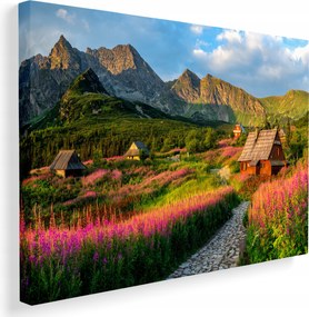 Vászonkép Tátra hegyek Zakopane kilátás a falra otthon 40x30 cm