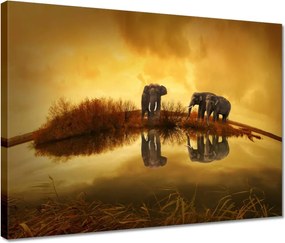 Vászonkép 40x30 Elefántok a vízparton
