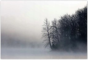 Poszterek 155x105 Ködös erdő Tél