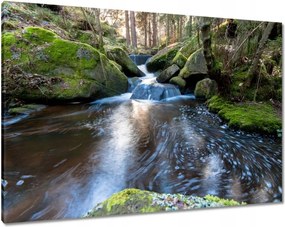 Vászonkép 100x70 Csendes folyószakasz