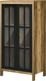 HOMCOM Modern Üveg 2-Ajtós Komód, Nappali és Lounge Szekrény, 60x35x120cm, Barna | Aosom