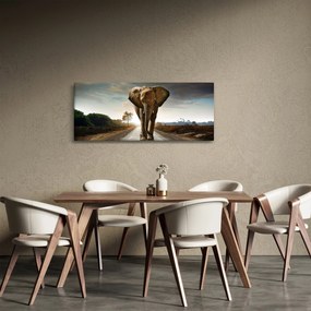 Elefánt képe (120x50 cm)
