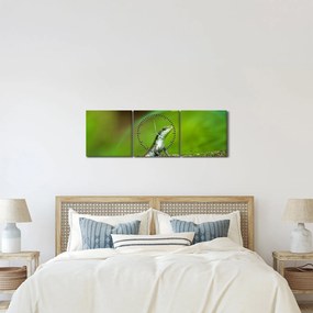 Gyíkok képe (órával) (90x30 cm)