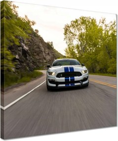 Vászonkép 30x30 Ford Mustang Usa autó