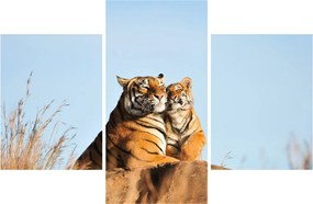 Kép - Tigris és a kölyke (90x60 cm)