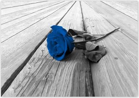 Poszterek 100x70 Kék rózsa a hídon