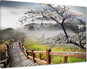 Vászonkép 100x70 Japán Virágzó cseresznye