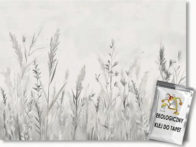 Fotótapéta Flizelina Természet Növények Rét Fű Scandi Boho 150x105 ragasztó