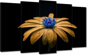 Vászonkép 100x60 Teavirág