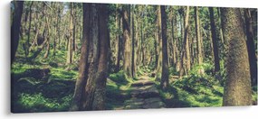 Kép egy út a fák között (120x50 cm)