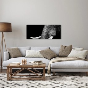 Kép - Elefánt agyar (120x50 cm)