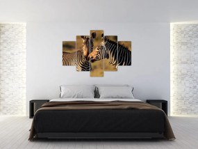 Kép - Két zebra (150x105 cm)