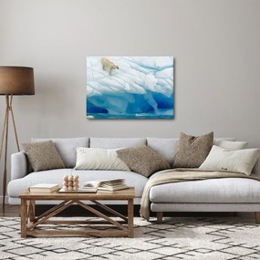 Kép - Jegesmedve (70x50 cm)