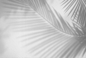 Fotótapéta 380x254 flizelin Boho #F050 #sf