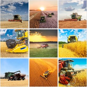 Poszter szett 9x 30x30 Mix Aratás Kombájn